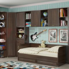 Детская Карина композиция 7 (Акация Молдау) в Златоусте - zlatoust.mebel24.online | фото