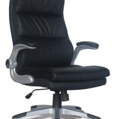 Кресло офисное BRABIX "Fregat EX-510" (рециклированная кожа, черное) 530863 в Златоусте - zlatoust.mebel24.online | фото 1
