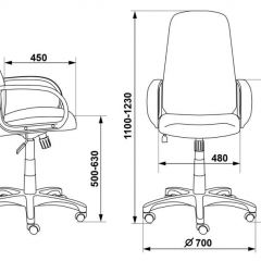 Кресло руководителя Бюрократ CH-808AXSN/G темно-серый 3C1 в Златоусте - zlatoust.mebel24.online | фото 3