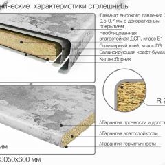 Кухонный фартук со столешницей (А-08) в едином стиле (3050 мм) в Златоусте - zlatoust.mebel24.online | фото 6