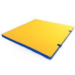 Мат гимнастический 1х1х0,05м с вырезом под стойки цв. синий-желтый в Златоусте - zlatoust.mebel24.online | фото 1