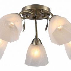 Потолочная люстра Rivoli Olivia Б0052693 в Златоусте - zlatoust.mebel24.online | фото