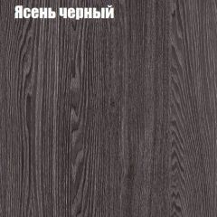 Прихожая ДИАНА-4 сек №10 (Ясень анкор/Дуб эльза) в Златоусте - zlatoust.mebel24.online | фото 3