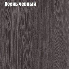 Прихожая ДИАНА-4 сек №11 (Ясень анкор/Дуб эльза) в Златоусте - zlatoust.mebel24.online | фото 3