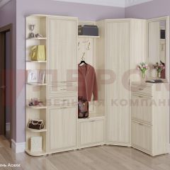 Прихожая Карина композиция 5 (Ясень Асахи) в Златоусте - zlatoust.mebel24.online | фото