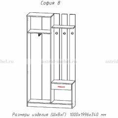 Прихожая София 8 в Златоусте - zlatoust.mebel24.online | фото 2