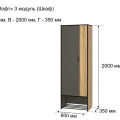 ОЛЬГА-ЛОФТ 3 Шкаф 2-х створчатый в Златоусте - zlatoust.mebel24.online | фото 4