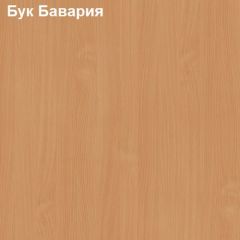 Шкаф для документов с нижней дверью Логика Л-10.3 в Златоусте - zlatoust.mebel24.online | фото 2