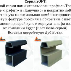Шкаф-купе 1400 серии SOFT D6+D6+B2+PL3 (2 ящика+2штанги) профиль «Капучино» в Златоусте - zlatoust.mebel24.online | фото 12