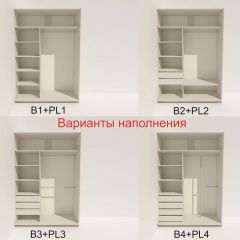 Шкаф-купе 1400 серии SOFT D6+D6+B2+PL3 (2 ящика+2штанги) профиль «Капучино» в Златоусте - zlatoust.mebel24.online | фото 6