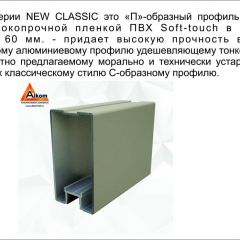 Шкаф-купе 1500 серии NEW CLASSIC K2+K2+B2+PL2(2 ящика+1 штанга+1 полка) профиль «Капучино» в Златоусте - zlatoust.mebel24.online | фото 17