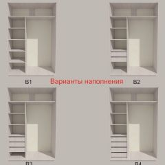 Шкаф-купе 1500 серии SILVER S1+S1+B2+PL2 (2 ящика+1 штанга+1 полка) профиль «Серебро» в Златоусте - zlatoust.mebel24.online | фото 5