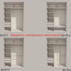 Шкаф-купе 1500 серии SILVER S1+S1+B2+PL2 (2 ящика+1 штанга+1 полка) профиль «Серебро» в Златоусте - zlatoust.mebel24.online | фото 6
