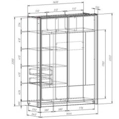 Шкаф-купе 1600 с плитой 22 мм ЛИБЕРТИ в Златоусте - zlatoust.mebel24.online | фото 4
