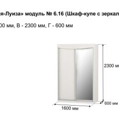 Шкаф-купе 1600 с зеркалом "Мария-Луиза 6.16" в Златоусте - zlatoust.mebel24.online | фото 4