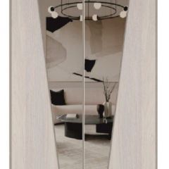 Шкаф-купе 1700 серии SILVER S1+S1+B2+PL2 (2 ящика+1 штанга+1 полка) профиль «Серебро» в Златоусте - zlatoust.mebel24.online | фото 12