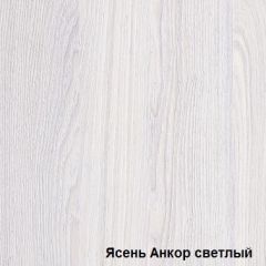 Шкаф-купе №19 Серия 3 Квадро (1500) Ясень Анкор светлый в Златоусте - zlatoust.mebel24.online | фото 2