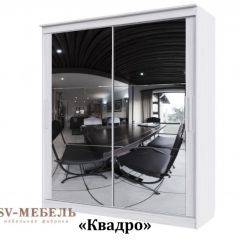 Шкаф-купе №19 Серия 3 Квадро (1700) Ясень Анкор светлый в Златоусте - zlatoust.mebel24.online | фото