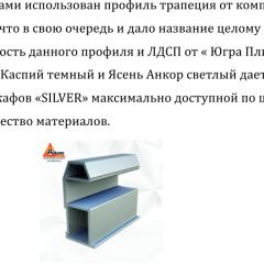 Шкаф-купе 1950 серии SILVER S5+S5+S5 B22+PL4 (по 2 ящика лев/прав+F обр.штанга) профиль «Серебро» в Златоусте - zlatoust.mebel24.online | фото 4