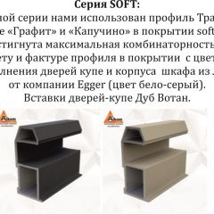 Шкаф-купе 2100 серии SOFT D5+D5+D5+B22+PL4 (по 2 ящика лев/прав+2штанги) профиль «Графит» в Златоусте - zlatoust.mebel24.online | фото 11