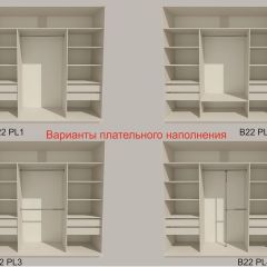 Шкаф-купе 2100 серии SOFT D5+D5+D5+B22+PL4 (по 2 ящика лев/прав+2штанги) профиль «Графит» в Златоусте - zlatoust.mebel24.online | фото 4