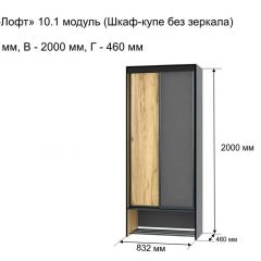 ОЛЬГА-ЛОФТ 10.1 Шкаф-купе без зеркала в Златоусте - zlatoust.mebel24.online | фото 3