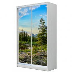 Шкаф-купе ХИТ 22-4-12-77 (420) в Златоусте - zlatoust.mebel24.online | фото 2