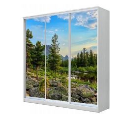 Шкаф-купе ХИТ 23-4-20/2-777 (420) в Златоусте - zlatoust.mebel24.online | фото