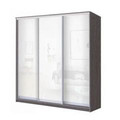 Шкаф-купе ХИТ 23-4-20-888 (420) в Златоусте - zlatoust.mebel24.online | фото 1