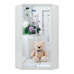 Шкаф-купе ХИТ-У-23-4-77 в Златоусте - zlatoust.mebel24.online | фото
