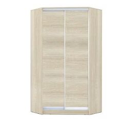 Шкаф-купе ХИТ-У-L-24-64-11 в Златоусте - zlatoust.mebel24.online | фото 8