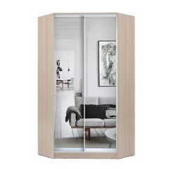 Шкаф-купе ХИТ-У-L-24-64-55 в Златоусте - zlatoust.mebel24.online | фото 9