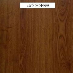 Шкаф многоцелевой №666 "Флоренция" Дуб оксфорд в Златоусте - zlatoust.mebel24.online | фото 3
