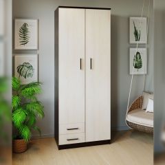 Шкаф распашной ПШ-3.9 в Златоусте - zlatoust.mebel24.online | фото 3
