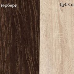 Шкаф Смарт в Златоусте - zlatoust.mebel24.online | фото 4