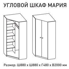 Шкаф угловой Мария 880*880 (ЛДСП 1 кат.) в Златоусте - zlatoust.mebel24.online | фото 2