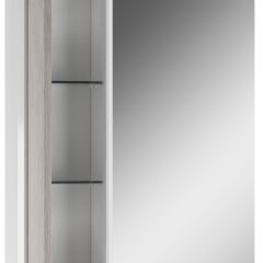 Шкаф-зеркало Uno 60 Дуб серый левый/правый Домино (DU1503HZ) в Златоусте - zlatoust.mebel24.online | фото 3