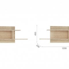 Система Стелс Полка навесная Дуб сонома в Златоусте - zlatoust.mebel24.online | фото