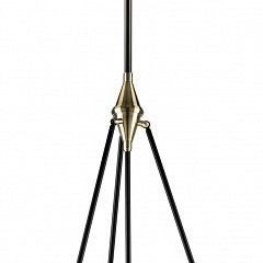 Светильник на штанге Lightstar Modena 816047 в Златоусте - zlatoust.mebel24.online | фото