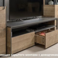 Трувор гостиная (модульная) в Златоусте - zlatoust.mebel24.online | фото 19