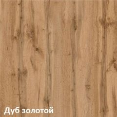 Вуди Шкаф для одежды 13.138 в Златоусте - zlatoust.mebel24.online | фото 4