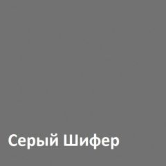 Юнона Шкаф торцевой 13.221 в Златоусте - zlatoust.mebel24.online | фото 2