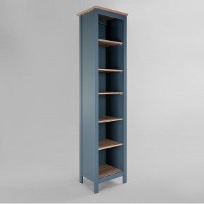2.08.07.100.16 САГА стеллаж 50 темно-бирюзовый/ясень RU в Златоусте - zlatoust.mebel24.online | фото