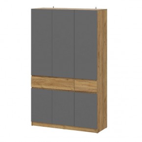 АВИНЬОН Прихожая Шкаф 3-х створчатый с ящиками в Златоусте - zlatoust.mebel24.online | фото