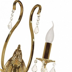 Бра Arti Lampadari Ercolano Ercolano E 2.1.2.602 G в Златоусте - zlatoust.mebel24.online | фото 8