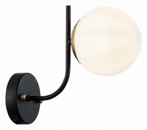 Бра EVOLUCE Ciane SLE1098-401-01 в Златоусте - zlatoust.mebel24.online | фото 3