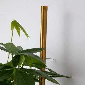 Бра Favourite Greenery 4050-2W в Златоусте - zlatoust.mebel24.online | фото 8