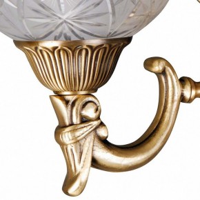 Бра MW-Light Афродита 2 317021902 в Златоусте - zlatoust.mebel24.online | фото 5