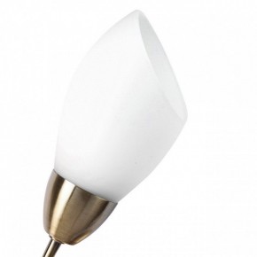 Бра MW-Light Нежность 7 356023001 в Златоусте - zlatoust.mebel24.online | фото 2