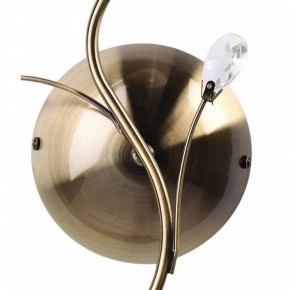 Бра MW-Light Нежность 7 356023001 в Златоусте - zlatoust.mebel24.online | фото 3